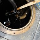 청경빌딩 이미지