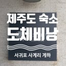 [제주] 서귀포 사계리 도체비낭 게스트하우스 깔끔해요