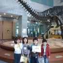 서대문자연사박물관 이미지