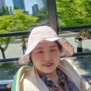 바다노선 이미지