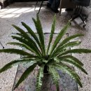 라이드올스테이카페클럽 이미지