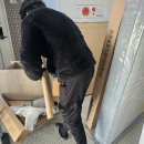 주식회사 더프라자 | 하로월드 광교점_ 쁘띠라뺑 올리비아 아기 침대 구매 후기