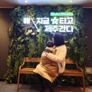 뚜레쥬르 완도점 | 완도에서 골드스텔라 배타고 아기랑 제주도가기