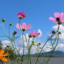 연천 호로고루 이미지