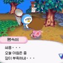 c8...오늘 아침은 좀 잠이 부족하네... 이미지