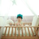 모노비