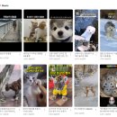 유튜브의 모든 것 | [공지] 드라마·영화 유튜브의 모든 것: 영상제작에서 수익화까지!! (ft. 노마드K 앵콜기버특강)