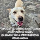 동이스토리