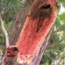 그늘막57 이미지