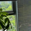와이에스테틱 - 용인시 기흥구 신고매로 59 | 와이에스테틱