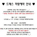 디아팰리스 네이버블로그
