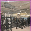 브이 피트니스 이미지