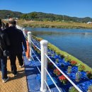 칠곡네거리 교통섬 이미지