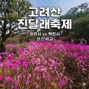 동대2리 마을회관 | 강화도 고려산 진달래축제 청련사 등산 코스 후기 - 백련사 비교 주차 정보 총정리