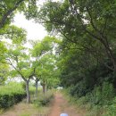 엄궁유수지체육공원 이미지