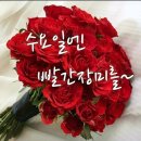수요일 - 종로구 인사동길 36 | 수요일
