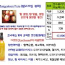 염증,아토피에 탁월한 천연100%발효쥬스망고 이미지