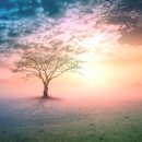 내마음 글쓰기 이미지