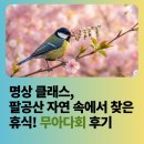풀잎속의생명 | 명상 클래스, 팔공산 자연 속에서 찾은 휴식 무아다회 후기