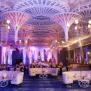 청춘사업 이미지