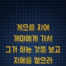 부지런한개미 이미지