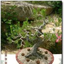 산청농장 이미지