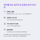 아우라두 이미지