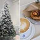 에그트리 | 대구 트리카페 포르투갈식 에그타르트 맛집 나비다드481-1