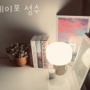 스테이포성수