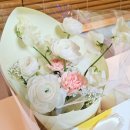 제주대학교사범대학부설중학교 이미지