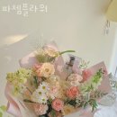 파쳄플라워 이미지
