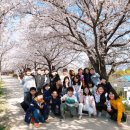 방촌초교 이미지