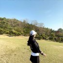 팜스스프링스골프