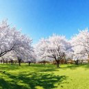 오색그린야드호텔 | 오색 그린야드 호텔 | 양양 서면 가성비 숙소 추천 후기