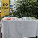 부천시청 뜨락 이미지