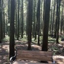 남조로사려니숲길 앞 이미지