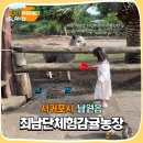 남원읍-10 | 서귀포아이랑가볼만한곳 내 마음속 1등 최남단체험감귤농장