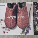 오색약손 이미지