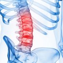 스페셜정형외과의원 이미지