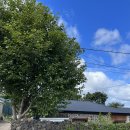 낭그늘 펜션 이미지