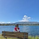 버드나무주유소 | 자연이 주는 선물! 뉴질랜드 와나카호수, 후커밸리 트레킹