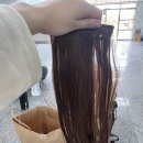 루딕헤어