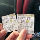 부산에서 강릉 1박2일 여행코스 ( 형제 장칼국수 , 테라로사 , 도깨비촬영지 , 경포대 , 중앙시장 닭...