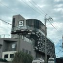 제주도 현지 이유식 추천! 마미포유 내돈내산 솔직 후기