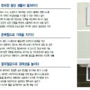 코아루퍼스트 이미지