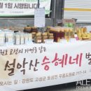 설악산승혜네벌꿀 이미지