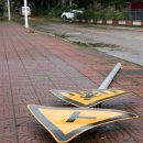 태풍이네 이미지