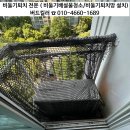 고잔6차푸르지오아파트 | [안산 비둘기퇴치] 상록구 사동 비둘기퇴치 작업후기, 안산고잔푸르지오6차 아파트 사례