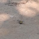 시호천약수터 이미지