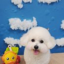 보리미용실 이미지